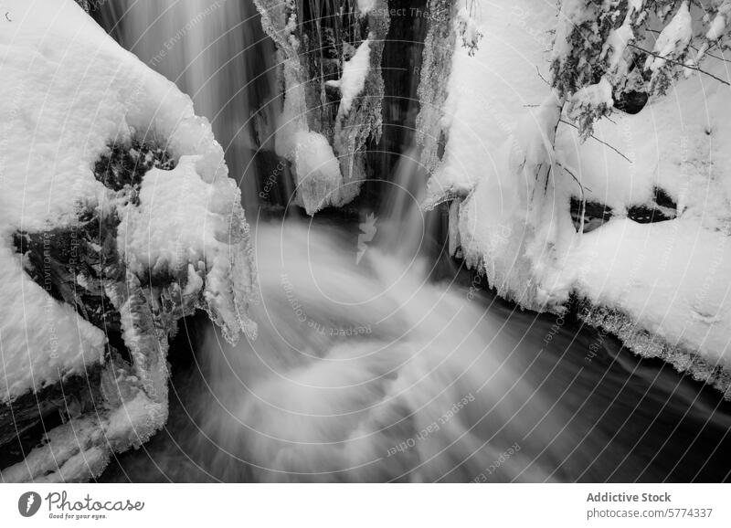 Mountain river in winter with flowing water and snow mountain landscape black and white nature icicle serene scenery frost tree cold outdoor stream wilderness
