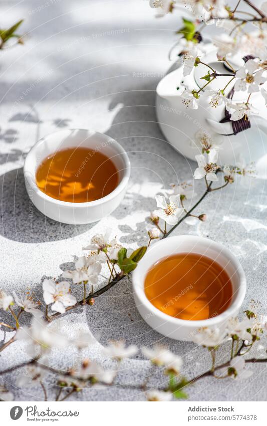 Tranquil tea setting with blooming cherry blossoms cup flower shadow texture surface warm delicate white soft tranquility beverage drink floral natural ceramic