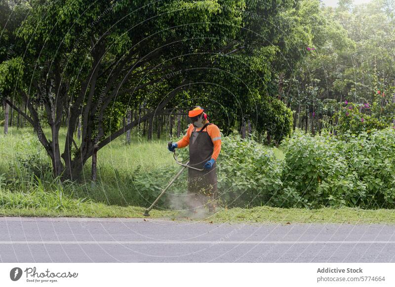 Groundskeeper Using a String Trimmer Beside a Road worker safety gear string trimmer cutting grass roadside greenery orange helmet gloves apron trees outdoor
