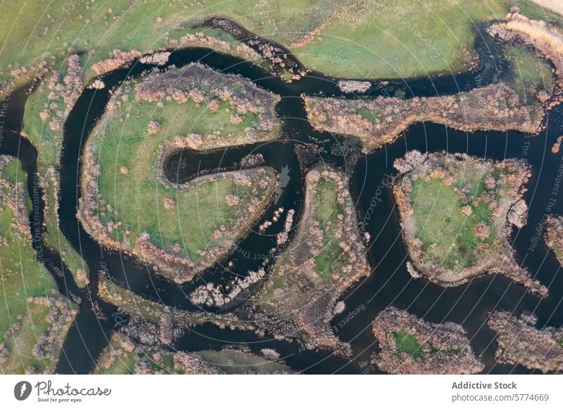 Aerial view of meandering Ciguera River in Ciudad Real, Spain aerial view meandering river ciguera river ciudad real spain landscape greenery nature water