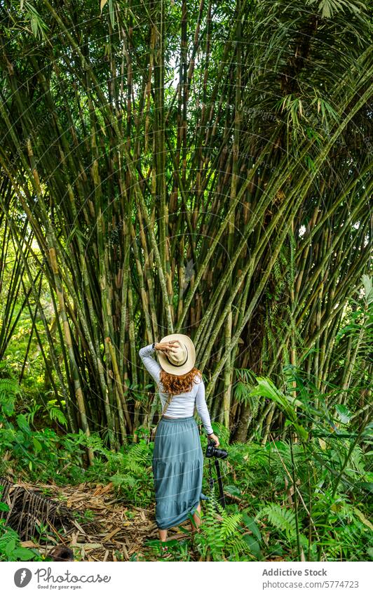 Woman exploring lush bamboo forest in Bali woman hat camera bali green tropics eco-tourism explorer travel adventure nature eco-friendly vegetation dense jungle