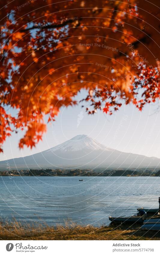 Tranquil view of Mt Fuji in autumn from Kawaguchiko Lake japan travel leaves mt fuji kawaguchiko lake serene majestic tranquil water red mountains nature