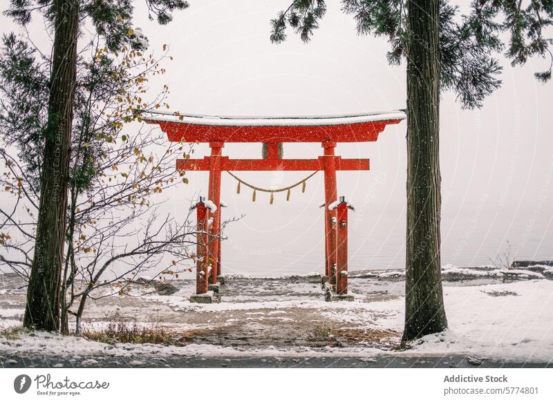 Snowy day at a traditional Japanese torii gate japan travel snow winter culture heritage red pine tree serene scene japanese landmark shinto religion