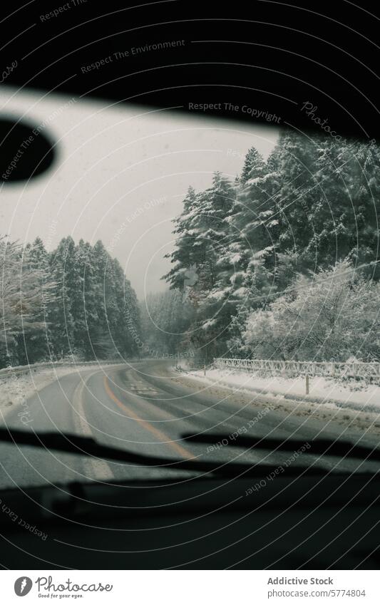 Winter road trip through snowy Japanese forest japan travel winter vehicle inside winding road snow-covered trees tranquil atmosphere dense forest car view