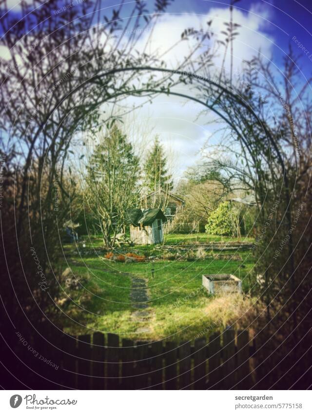 in seventh heaven Garden plot Idyll Experiencing nature Love of nature Nature Blue Green Arch Entrance Portal pretty Relaxation relax do gardening Gardener