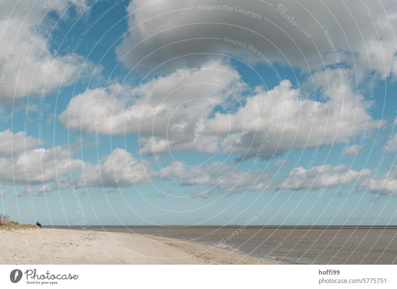 People on the beach with clouds over the North Sea in the Wadden Sea Human being Silhouette Trip Sandy beach Clouds Mud flats Ocean Sky coast Island Landscape
