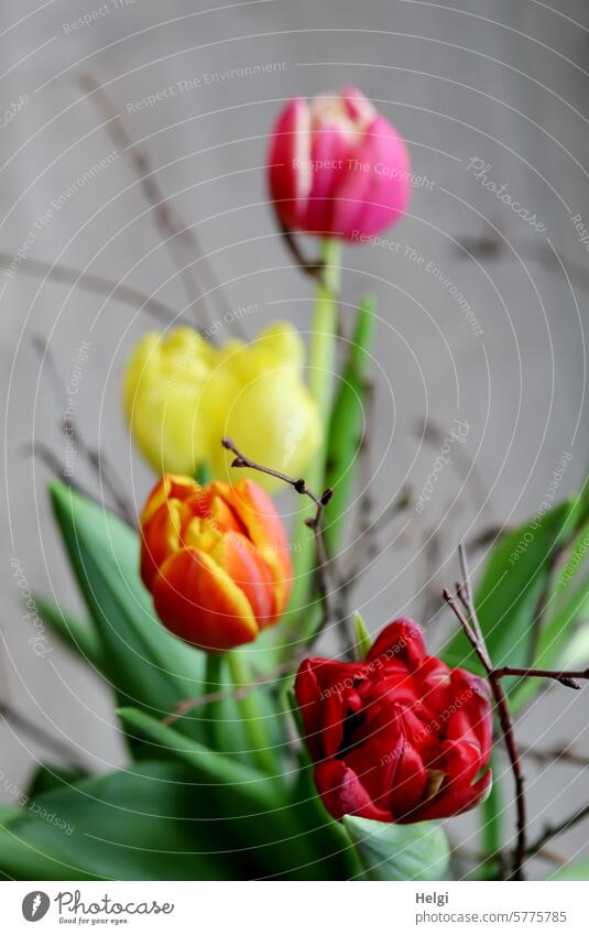 Tulips and branches III Tulip blossom Bouquet Twig Spring Leaf Blossom Flower Plant Blossoming Colour photo Decoration Interior shot Close-up Deserted Yellow