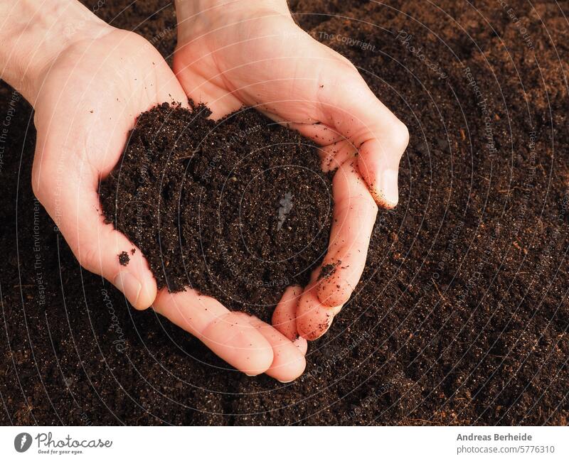 Hands holding nutrient-rich soil in the shape of a heart heart shape hands sowing reforestation humus organic quality nutrients sustainable growing earth day