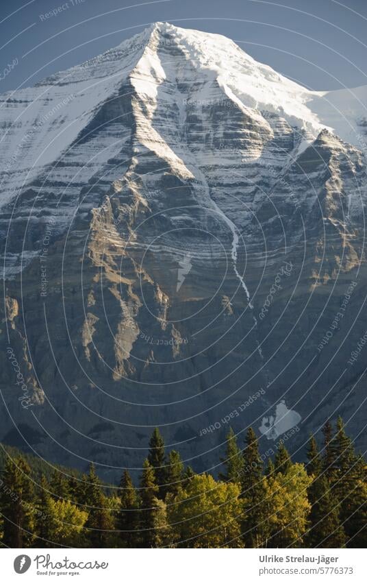 Canada | Mount Robson in fall with first snow mountain Mountain summits Autumn Snow Cold Automn wood Rock Landscape Wild Rocky Mountains Forest Park Sun Sky