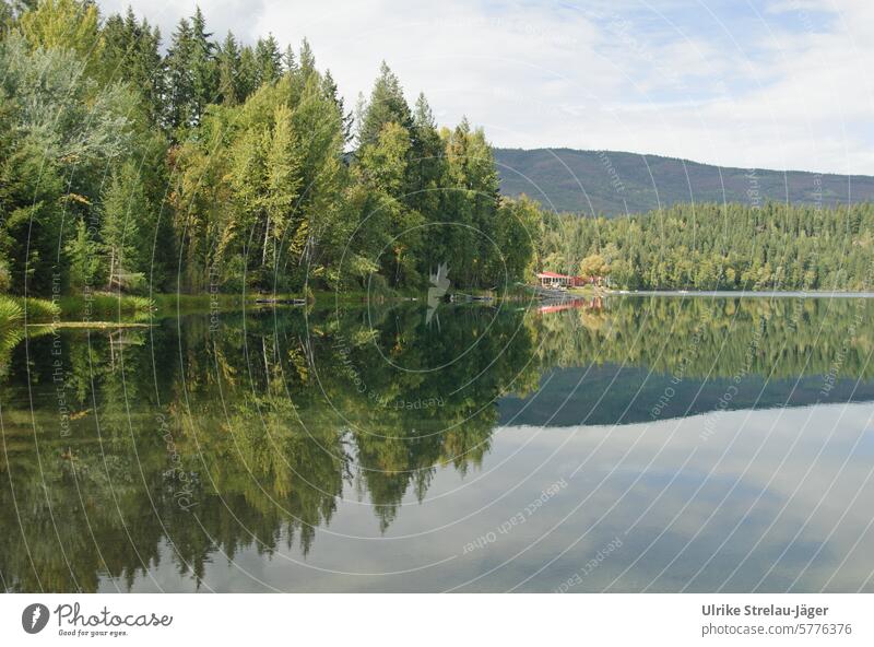 Canada | calm lake with jetty, forest, hills and reflection Lake Calm Peaceful Reflection Surface of water Water Nature Idyll Water reflection tranquillity