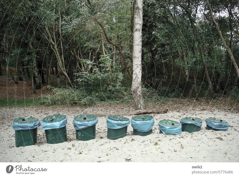 nightcap Waste bins Row Many rank and file submerged sagged sink Arrangement Exterior shot Deserted Nature Colour photo Sand Detail Landscape Forest