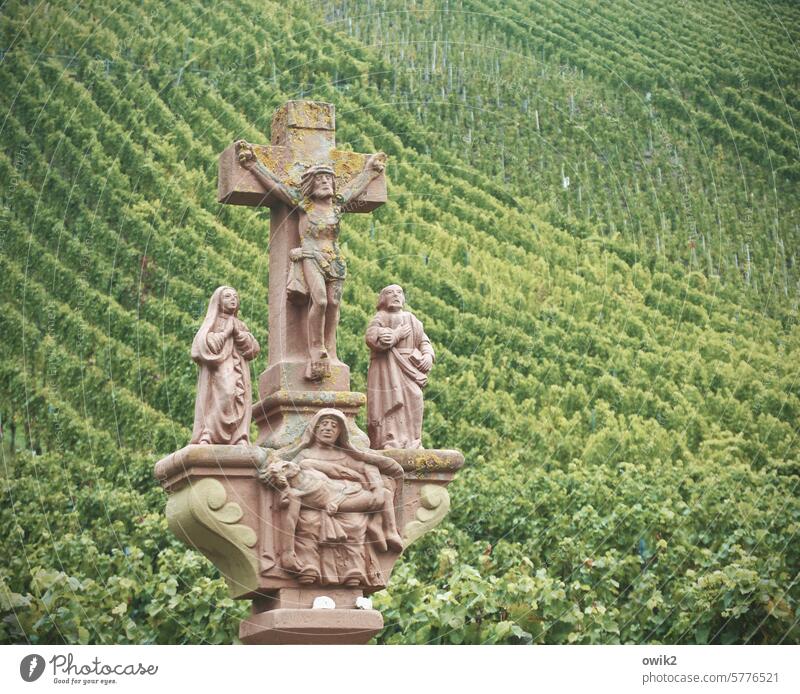 Calvary Moselle valley Mosel (wine-growing area) Landscape Idyll Nature Rhineland-Palatinate Wine growing Wayside cross Christian cross Faith & Religion
