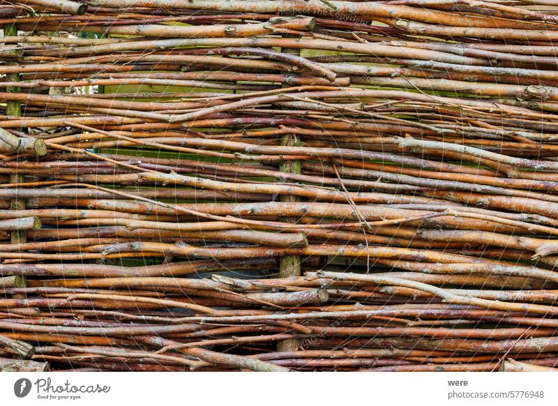 Wickerwork as a fence and privacy screen Background Pattern basket weavers branch copy space nature nobody twigs willow branches