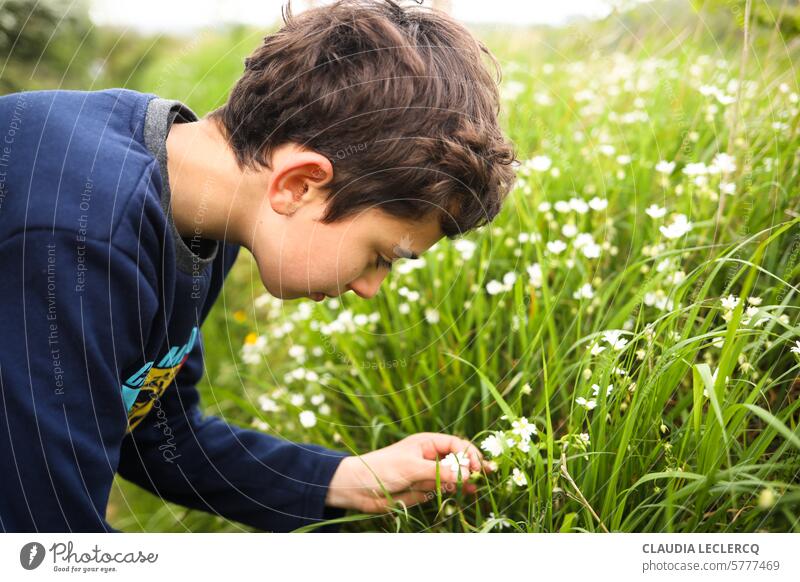 Boy picking a white wildflower child child picking a flower picking flowers spring Exterior shot Garden Green Authentic Nature curiosity