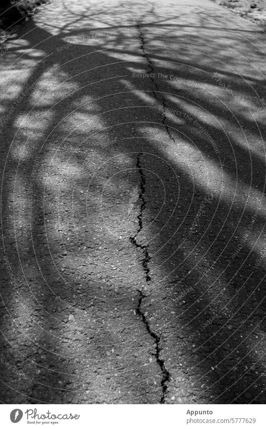 Cracks in asphalt cracks Asphalt Street Shade of a tree Shadow Sunlight asphalt surface ripped Broken up fissures road damages sunny To go for a walk off Target