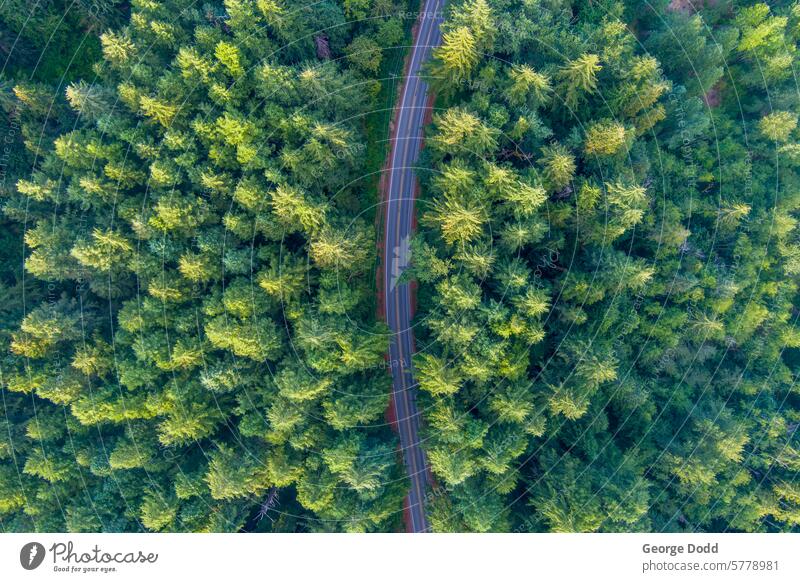 Road in the Cascade Mountains Aerial photograph aerial view Drone drone view Forest Trees outdoors Washington State cascade mountains Mountain range