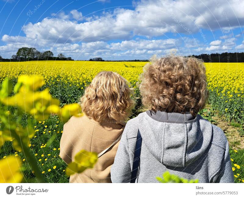 Best friends look at the rape field women girlfriends Together Friendship Spring two togetherness Contentment enjoy nature Canola Oilseed rape flower