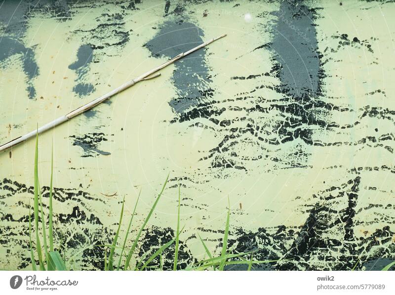 Distant mountains Container Landscape Grass Drawing Illusion blades of grass Ink residues flaking paint Copy Space Bright green Exterior shot Colour photo