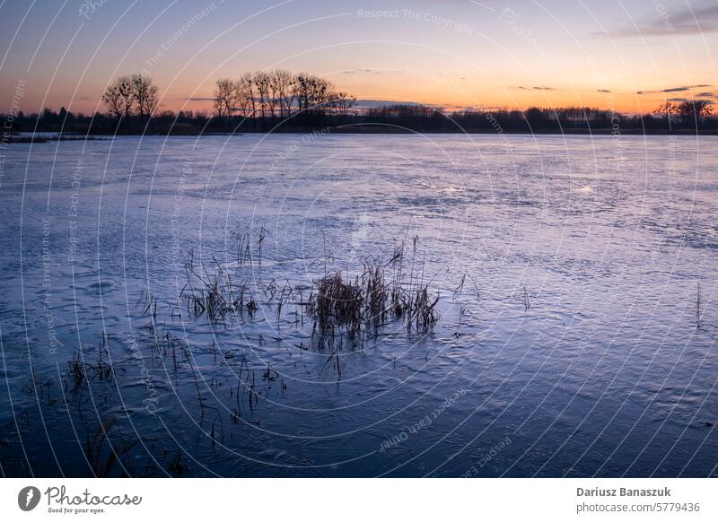 A frozen lake with reeds, an evening view in March water ice grass sunset nature outdoor sky reflection idyllic environment winter dusk tranquility horizon