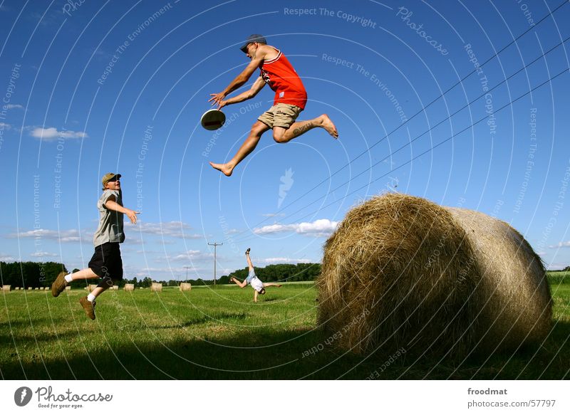 dynamic frisbee game Frisbee Jump Field Meadow Handstand Hay roll Electricity pylon Catch Hay bale Hop Simultaneous Sports Playing Action Exuberance Joy Frozen