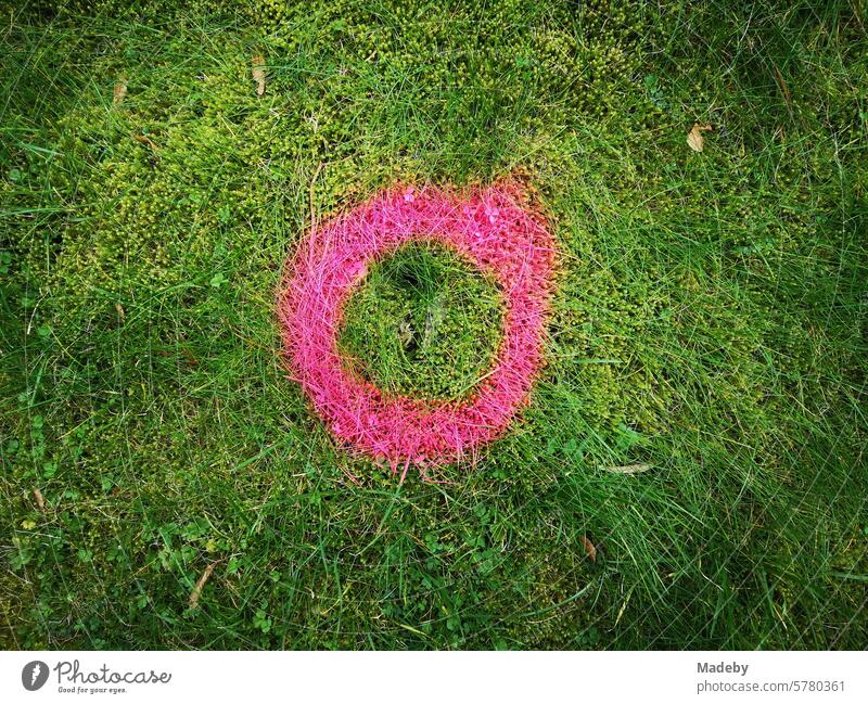 Circle in pink and rose as a marker for a new planting on a green lawn in Oerlinghausen near Bielefeld on the Hermannsweg in the Teutoburg Forest in East Westphalia-Lippe