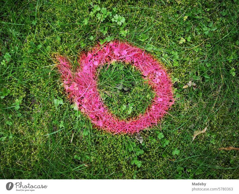 Circle in pink and rose as a marker for a new planting on a green lawn in Oerlinghausen near Bielefeld on the Hermannsweg in the Teutoburg Forest in East Westphalia-Lippe