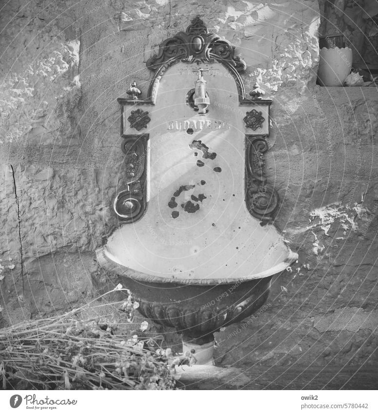 By the pool Sink Tap Old Exterior shot affectionately Retro Remains then Memory Transience rural Design Decline decoration Quirky Rust Ornament worn-out