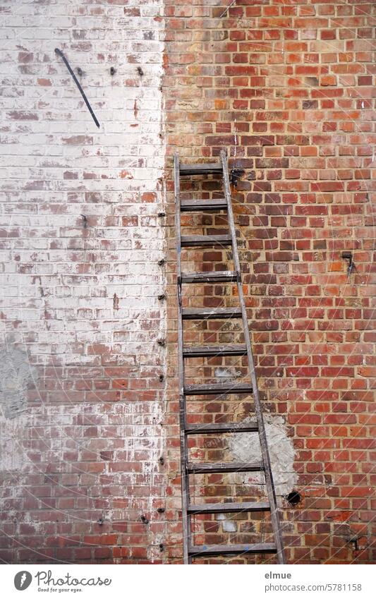 Wooden ladder on an old brick wall / ladder Ladder Brick building career ladder upstairs Risk of accident Lean Paintwork Go up Career Rung Upward Ascending Blog