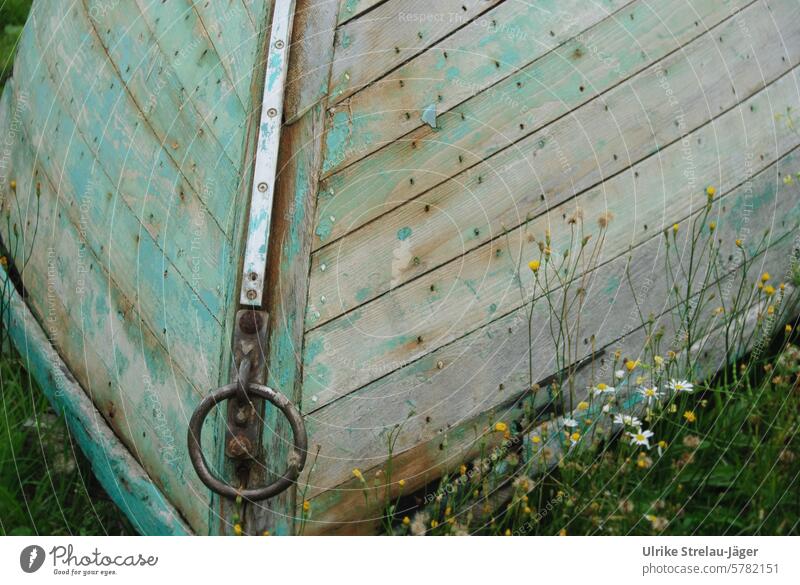 Wooden boat stranded in a meadow wooden boat Stranded Meadow upturned ashore turquoise gravel Green Chamomile flowers Flower meadow yellow wildflowers Iron Ring