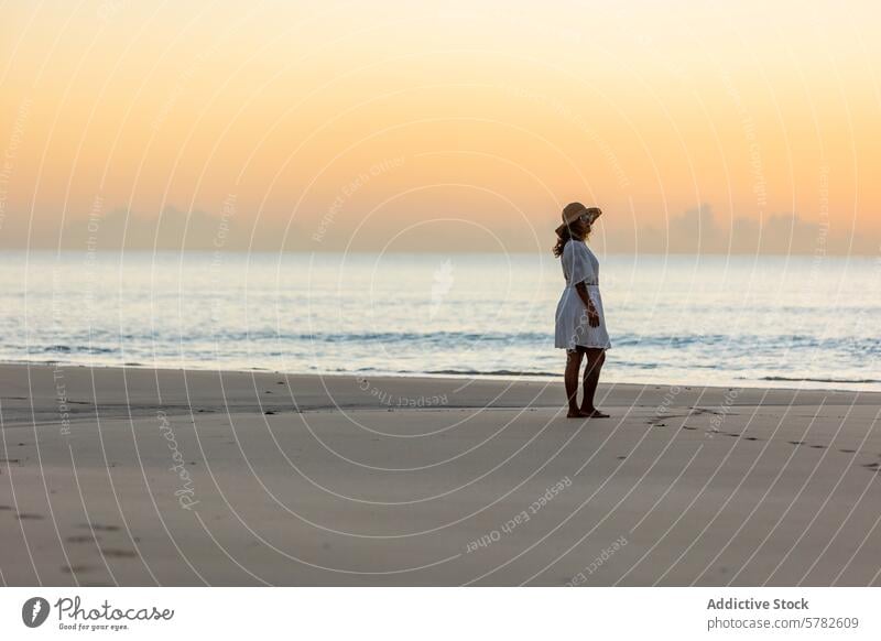 Serene Moment of a Woman on the Beach at Dawn woman beach sunrise nature serene relaxation ocean sand tranquil dawn solitude white dress straw hat seaside calm
