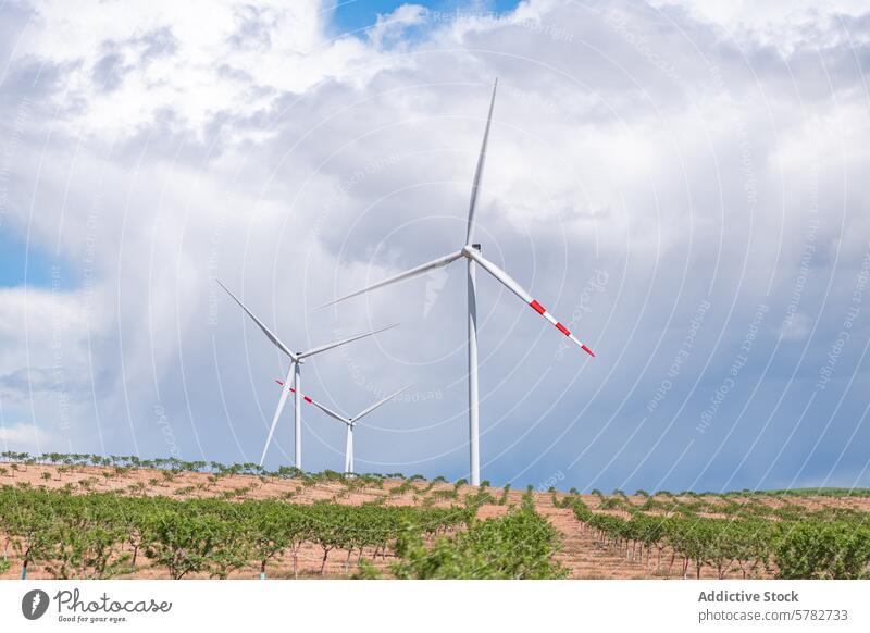 Wind turbines towering over a vineyard landscape wind turbine energy renewable agriculture cloudy sky tall green eco-friendly sustainable farm field grape power