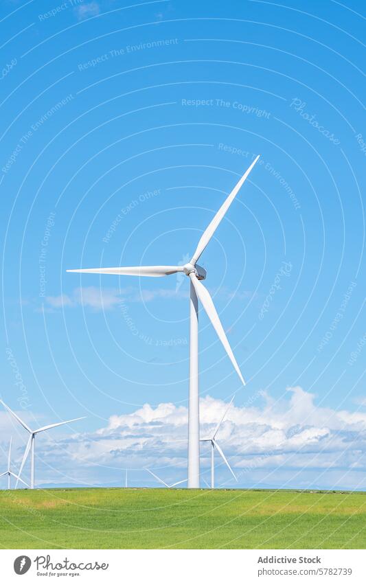 Wind turbines standing tall against blue sky wind turbine sustainable energy renewable green field landscape environment ecology technology electricity power