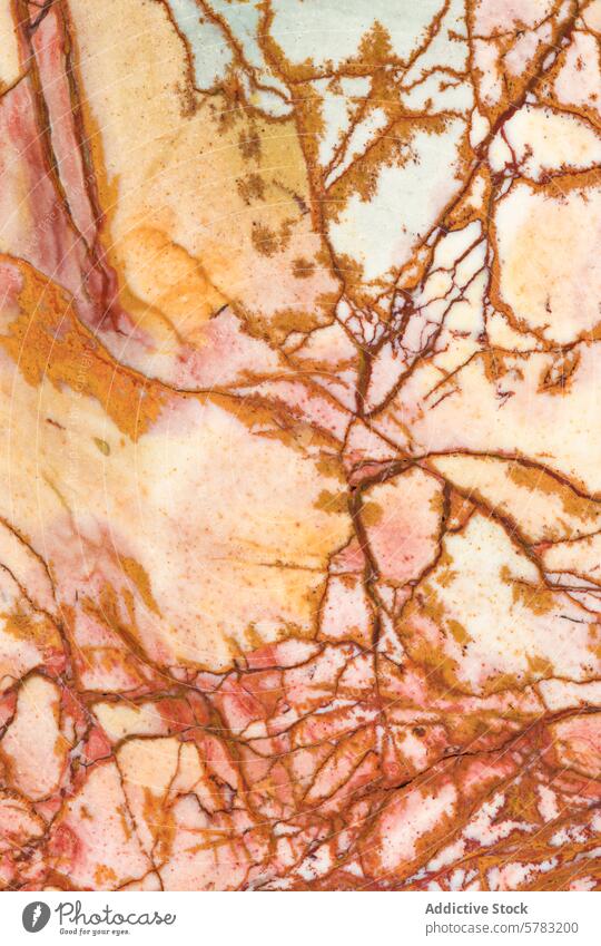 Intricate patterns of Moss Agate from Oregon moss agate oregon dendritic mineral gemstone close-up natural macro texture geology earth warm hues reddish
