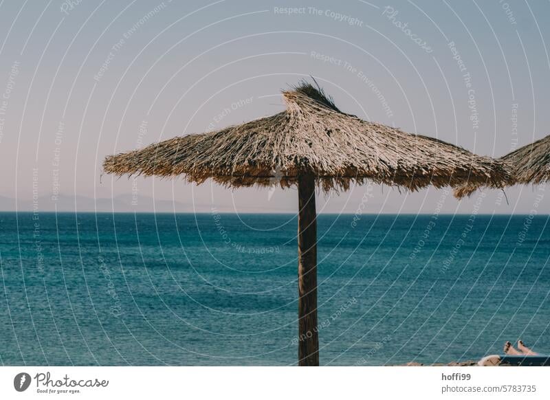 Close-up of a parasol made of palm leaves under a cloudless sky and deep blue sea Sunshade sun protection Summer Vacation & Travel Sunlight Beautiful weather