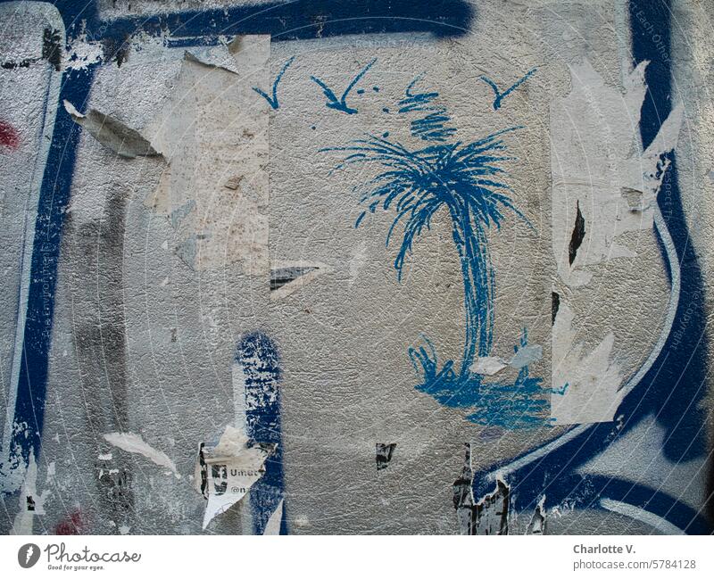 Südseeträume I Auf eine Fassade gekritzelte Palme und Vögel Gekritzel Graffiti Zeichnung trashig urban Wand Blau Grau gedeckte Farben Stadt