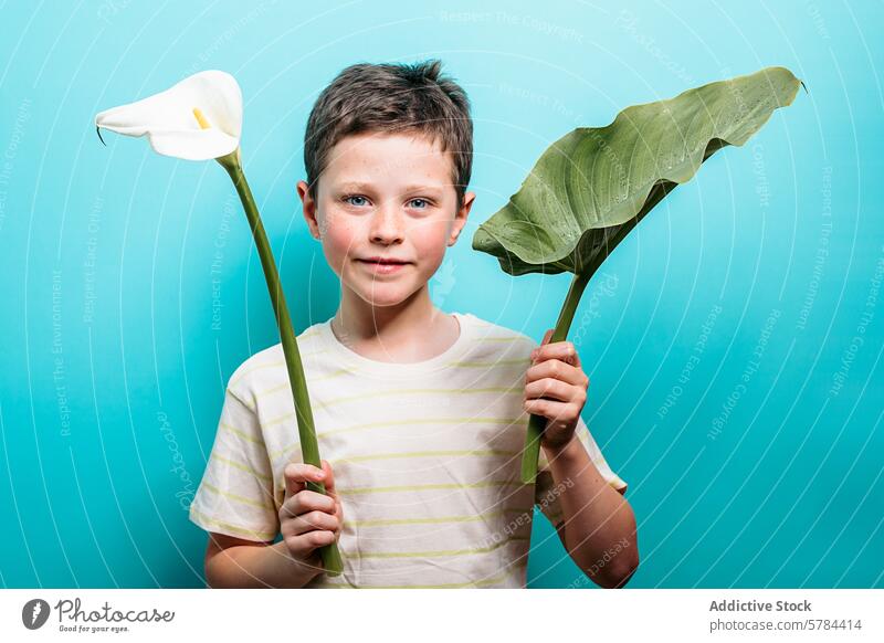 Young boy holding a calla lily and a leaf on blue background child smile green white flower nature kid cheerful portrait happy botanical youth innocence casual
