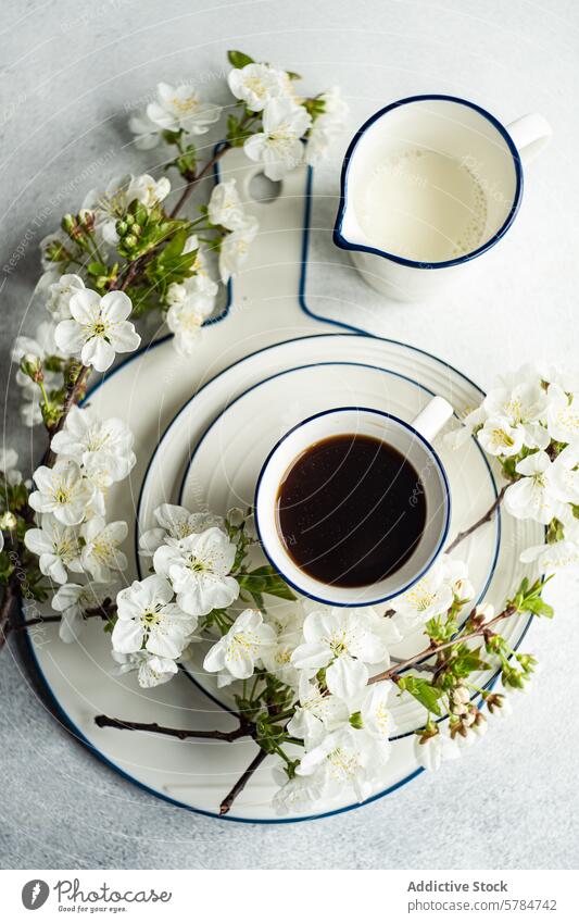 Spring coffee and milk set with blooming cherry branches spring cherry blossom plate enamel mug white flower freshness beverage breakfast morning table setting