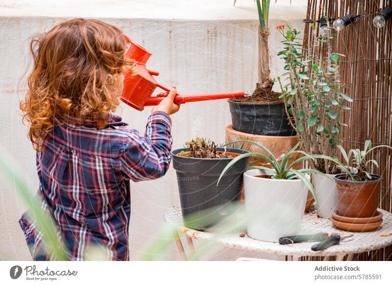 Young child watering plants in a home garden potted red watering can curly hair sunlit cozy outdoor nature care gardening activity growth nurture childhood joy