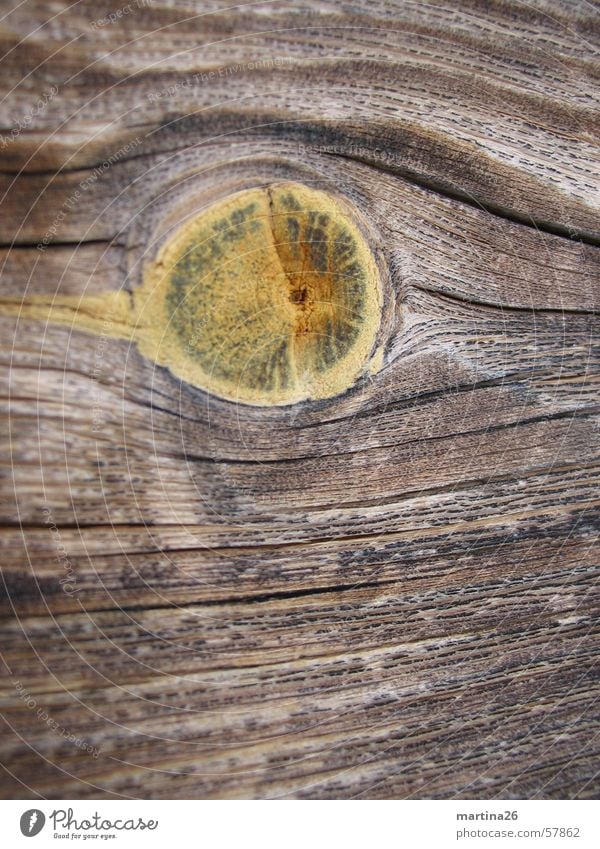 knot hole Wood Exterior shot Brown Physics Wood flour Nature Haptic Surface Wood strip Firewood Timber Knothole Macro (Extreme close-up) Close-up Wood grain