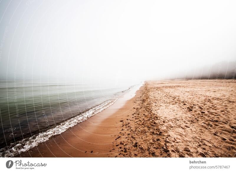 because we can always be surprised Hidden Mysterious Idyll silent Rügen Fog Sandy beach Water Wanderlust Longing Clouds Landscape Baltic coast Beach Ocean Sky
