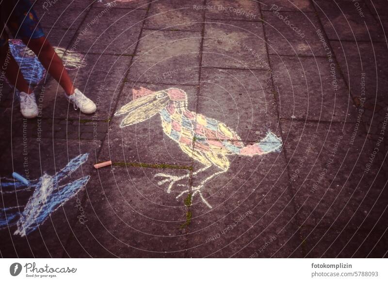 Bird picture painted on pavement with sidewalk chalk street-painting chalk street chalk paving stone Ground Image creatively manner Art Graffiti Illustration
