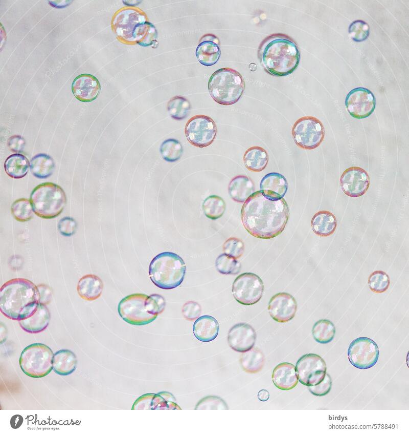 Lots of colorful soap bubbles in front of a neutral background Soap bubble Glittering Infancy Many Round Ease Hover Shallow depth of field Neutral background