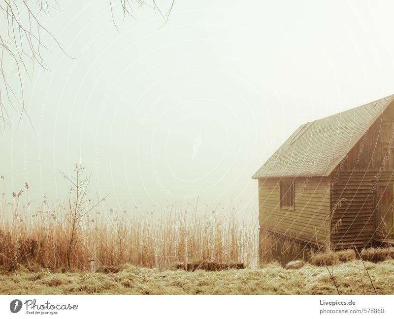 boat shed Nature Landscape Plant Earth Sky Autumn Winter Fog Grass Bushes Lakeside Fishing village Deserted Brown Yellow Gray Green Black Silver White Barn