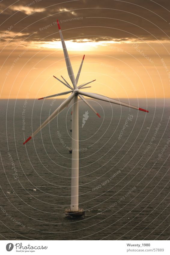 windflower Wind energy plant Sunset Ocean Synchronous Energy industry Wing Power