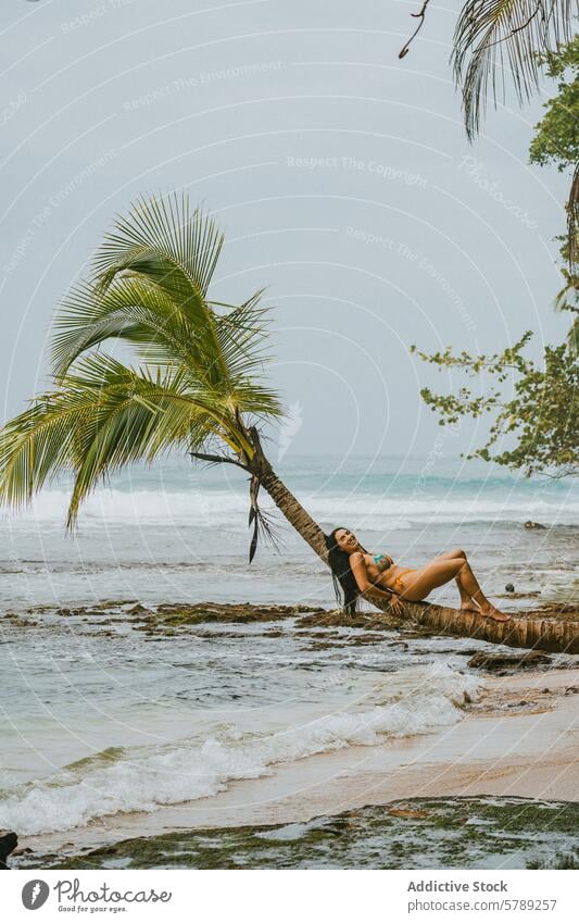 Woman relaxing on palm tree at Costa Rican beach woman costa rica relaxation tropical sand sea water ocean travel vacation leisure coast seaside bikini nature