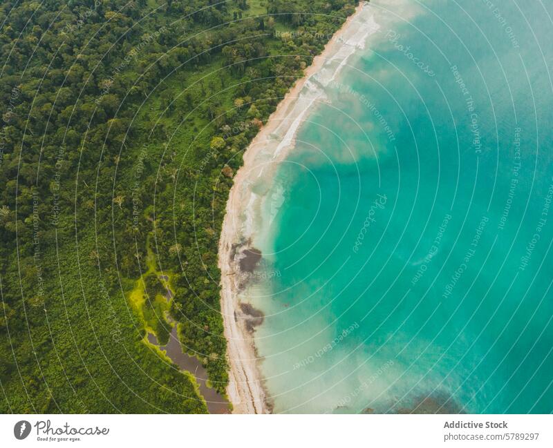 Costa Rican coastline from an aerial perspective costa rica aerial view rainforest pacific ocean natural beauty azure water lush greenery tropical landscape
