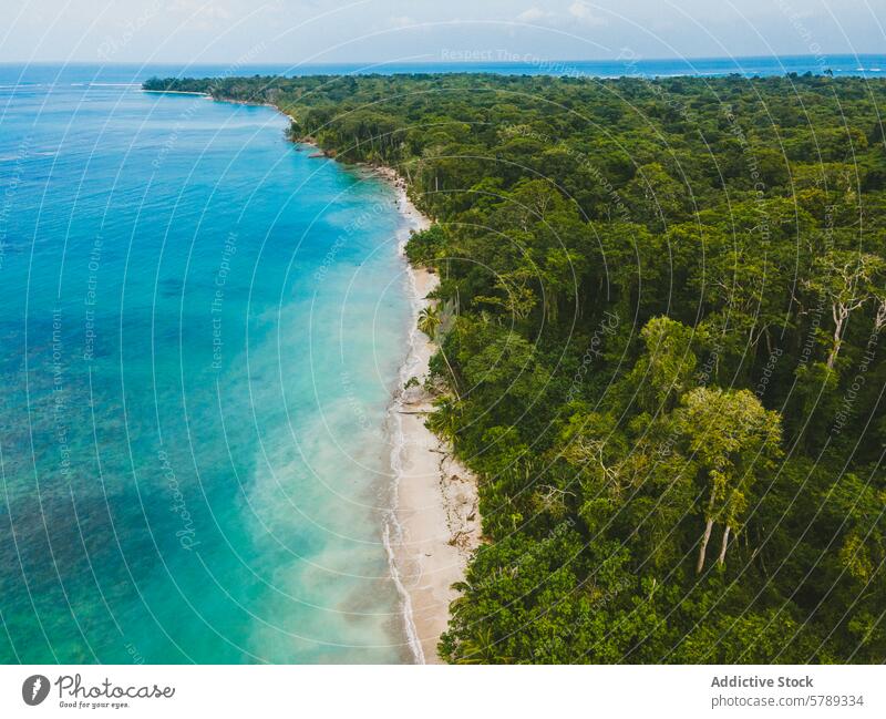 Aerial view of a pristine Costa Rican coastline costa rica aerial view rainforest turquoise sea beach tranquil lush sandy nature tropical paradise travel