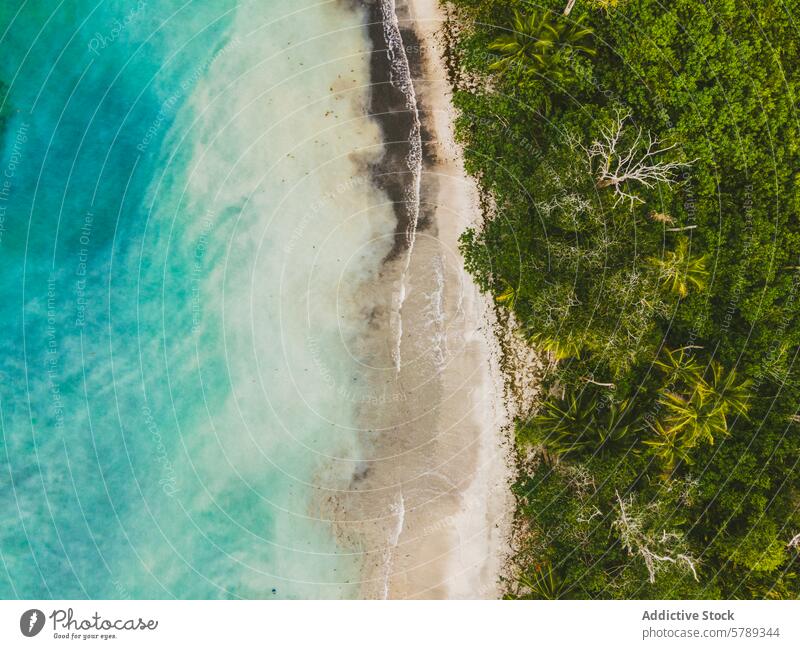 Aerial view of a serene Costa Rican beach and lush forest aerial costa rica tropical green tranquil exotic beauty coastline sea ocean sand nature landscape