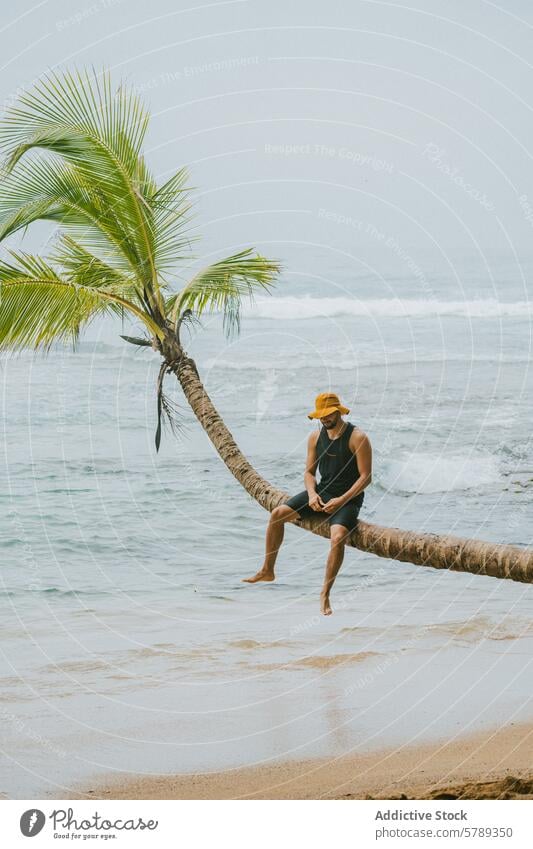 Serene beach scene with person on palm tree in Costa Rica ocean tranquil costa rica leisure travel vacation tropic coast sea hazy day casual wear sitting shore