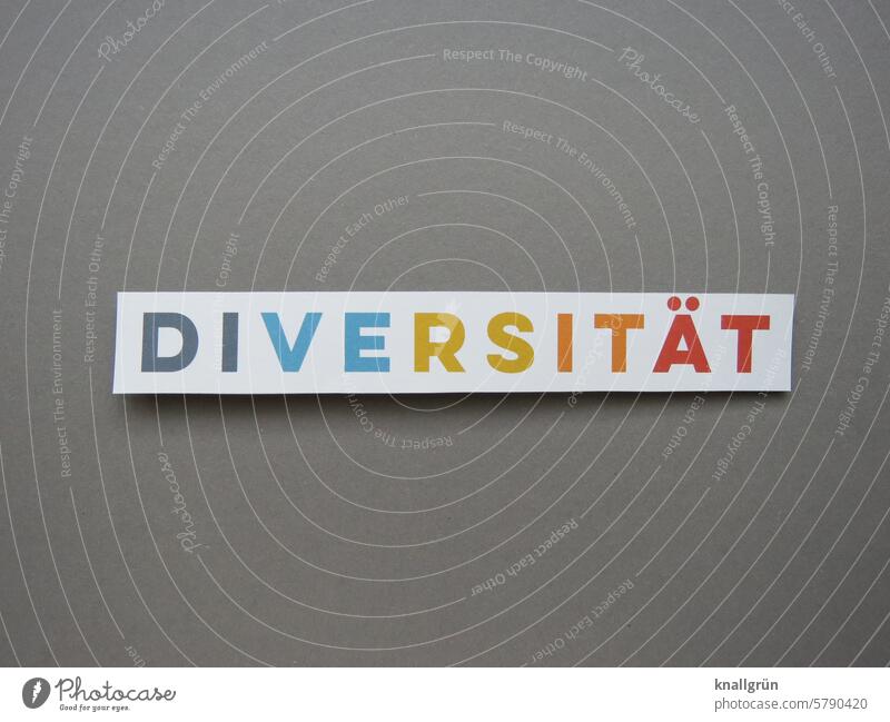 diversity Text variety Love Tolerant Equality Homosexual Symbols and metaphors Rainbow Freedom LGBTQ Sexuality variegated queer Gender bisexual Transgender
